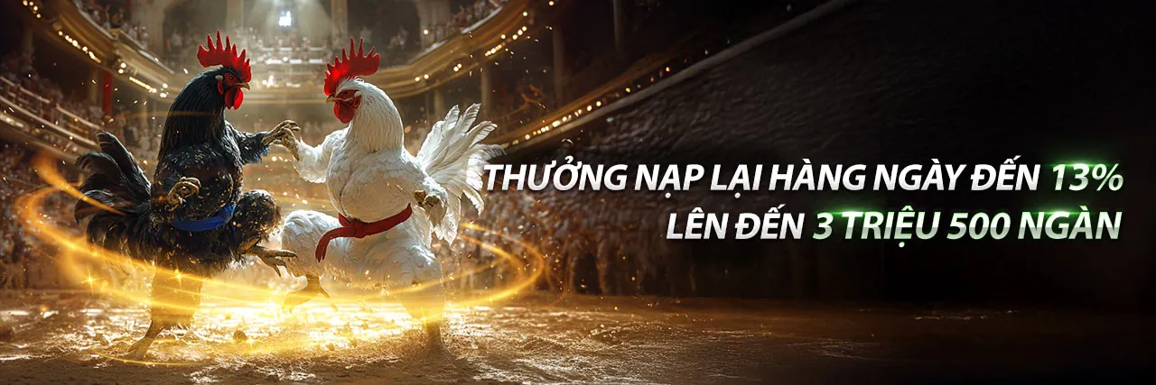Điều Khoản và Điều Kiện 69vin Casino