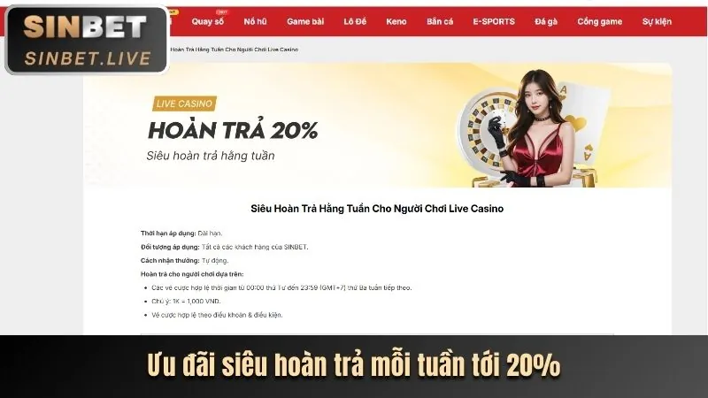 Giải thích Cookie và tầm quan trọng của chúng đối với 69vin casino
